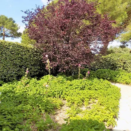 Appartement La Palmyre - Lumineuse Mitoyenne - Jardin - Piscine Collective *