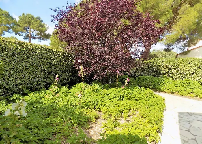 Apartmán La Palmyre - Lumineuse Mitoyenne - Jardin - Piscine Collective *